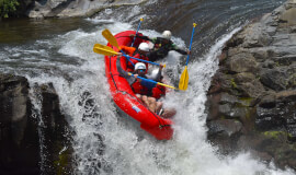 Guanacaste ⇆ La Fortuna with Rafting on Tenorio River