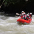 Cucaracho River Class III & IV+ / One Day Rafting Adventure