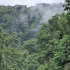 2 Días de Aventura Extrema: Rafting en Río Tenorio Class III & IV & Cucaracho Class IV & IV+