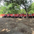 ATV Dry Forest - Coco Beach