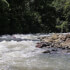 Cucaracho River Class III & IV+ / One Day Rafting Adventure