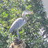 Palo Verde Boat Tour