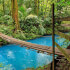 Guanacaste ⇆ La Fortuna with Rio Celeste Waterfall Hike