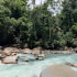 2 Days of Extreme Adventure: Rafting on the Tenorio River (Class III & IV) & Cucaracho River (Class IV & IV+)