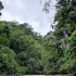 2 Días de Aventura Extrema: Rafting en Río Tenorio Class III & IV & Cucaracho Class IV & IV+