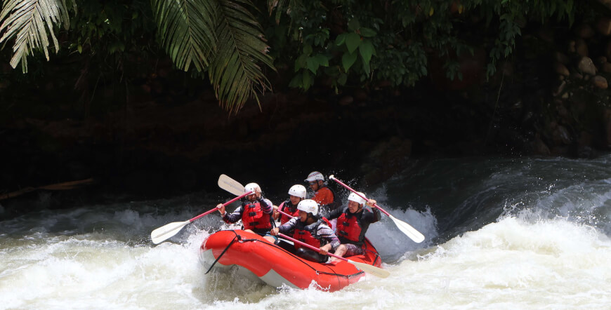 Cucaracho River Class III & IV+ / One Day Rafting Adventure