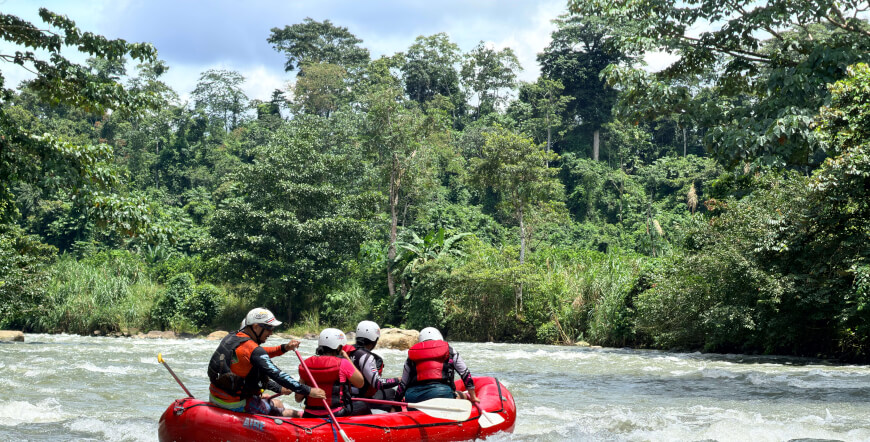 Cucaracho River Class III & IV+ / One Day Rafting Adventure