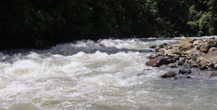 Cucaracho River Class III & IV+ / One Day Rafting Adventure