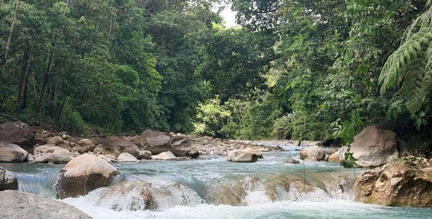 2 Days of Extreme Adventure: Rafting on the Tenorio River (Class III & IV) & Cucaracho River (Class IV & IV+)