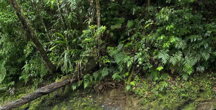 Private Tubing Rio Celeste