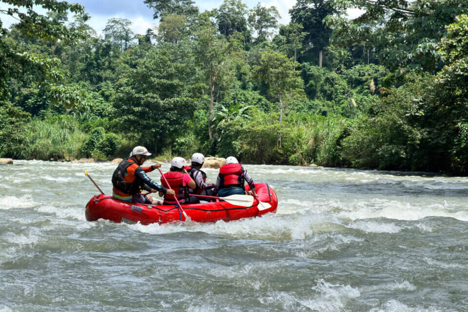 Cucaracho River Class III & IV+ / One Day Rafting Adventure