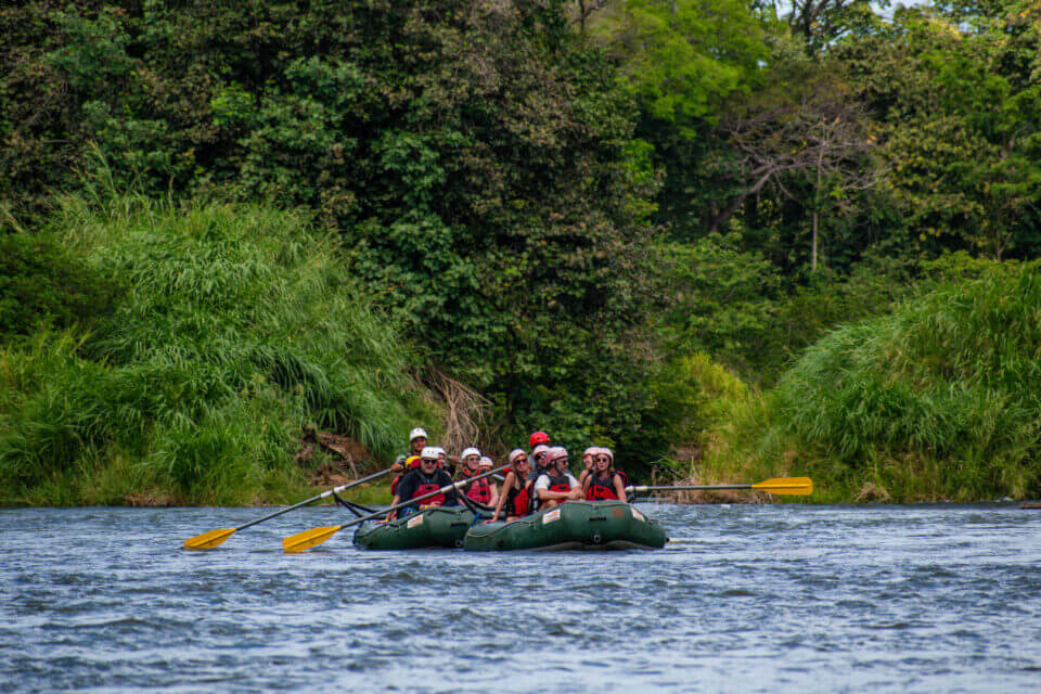 Safari + Llanos del Cortés